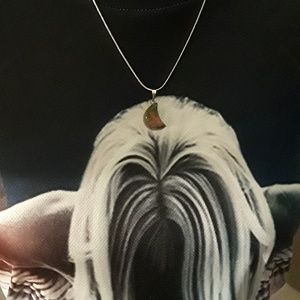 🌹Rhodonite Moon Pendant on Snake Chain